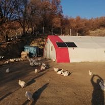 ODABAŞ YUMURTA EVİ  RESİMLERİ..