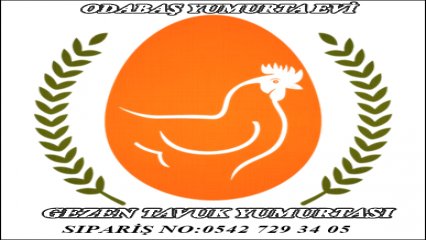 ODABAŞ YUMURTA EVİ FAALİYETE BAŞLADI...