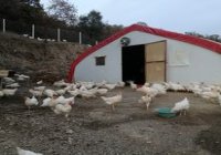  ODABAŞ YUMURTA EVİ  RESİMLERİ..
